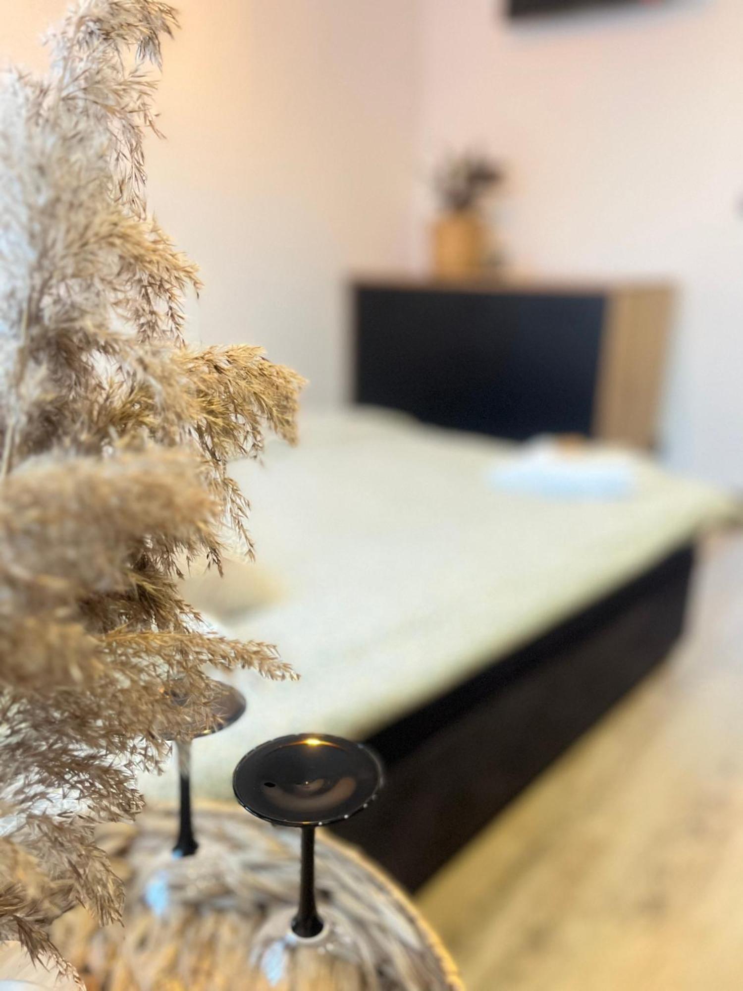 Nowoczesny Maly Apartament Nr 3 오지시 외부 사진