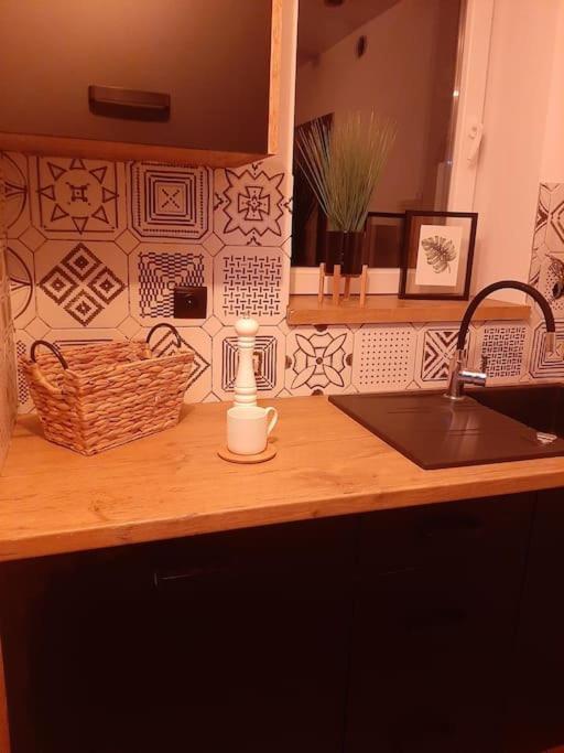 Nowoczesny Maly Apartament Nr 3 오지시 외부 사진